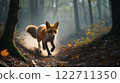Red fox running on a path in autumn forest 122711350