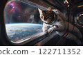 Curious cat astronaut observing earth from spaceship window 122711352