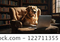 Golden retriever dog working on laptop in library armchair 122711355