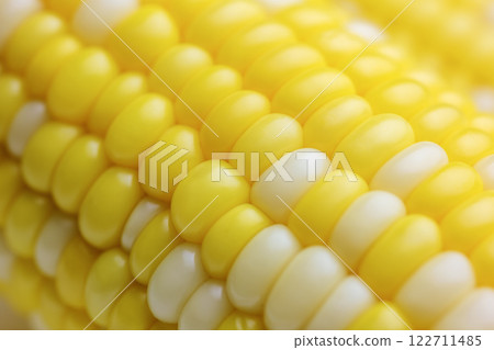 Sweet boiled corn, macro shot. 122711485