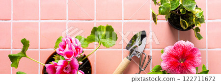 Flowers on pink tile background 122711672
