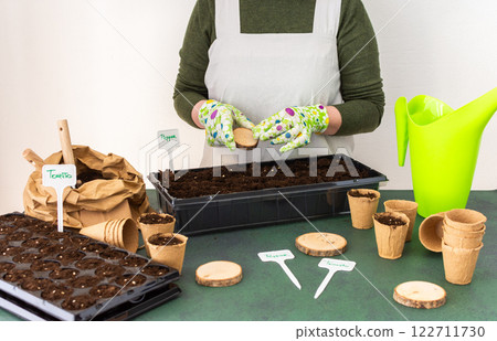 Woman planting tomato and pepper seeds on seedlings at home 122711730
