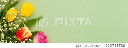 Spring background with tulips and gypsophila Spring background with tulips and gypsophila 122711788