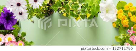 Flowers on a green background 122711790