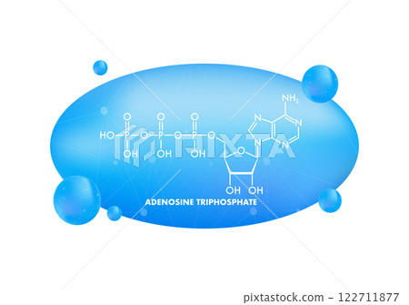 Adenosine Triphosphate Chemical Formula Floating on Blue Scientific Background 122711877