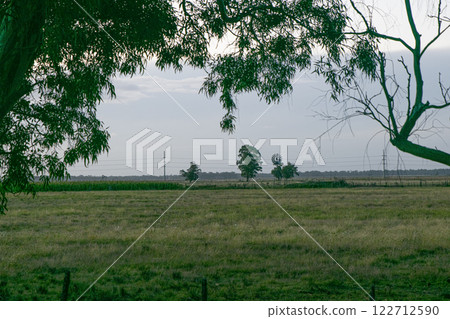 Trees and pasture fields in Argentina Trees and pasture fields in Argentina 122712590