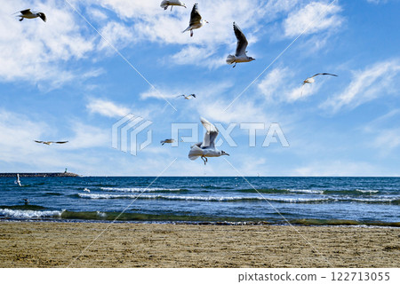 Beautiful photo of seagulls flying over the shore of the beach under the cloudy sky 122713055