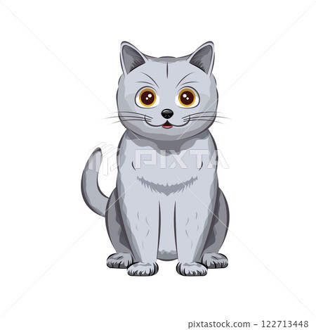 貓 | 英國短毛貓 貓 | 英國短毛貓 122713448