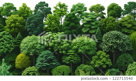 a lush green tree line isolated on a transparent background. The image a variety of trees with different leaf shapes and sizes, creating a dense and natural look a lush green tree line isolated on a transparent background. The image a variety of trees with different leaf shapes and sizes, creating a dense and natural look 122713540