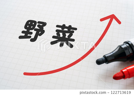 帶有蔬菜字母和箭頭的筆記本 帶有蔬菜字母和箭頭的筆記本 122713619