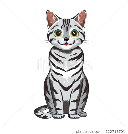 Cat | American Shorthair 122713701