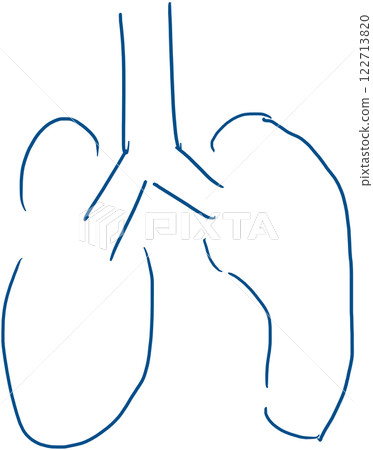 Hand-drawn illustration of lungs 122713820