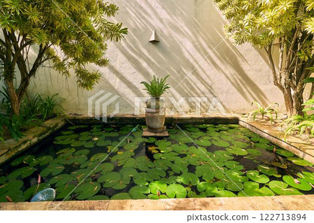 Serene garden pond with lily pads, green plants. Sunlight filters on water, tranquil atmosphere. Peaceful retreat in nature, perfect for meditation. Idyllic backyard oasis, botanical theme. 122713894