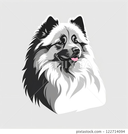 Keeshond with a thick double coat Keeshond with a thick double coat 122714094