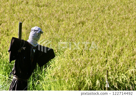 遠野故鄉村、鄉村、稻米種植（岩手縣遠野市） 122714492