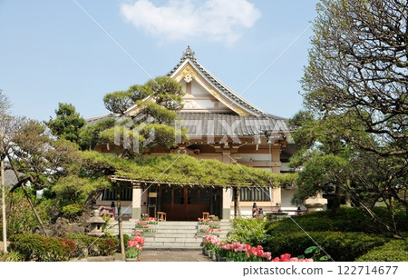 春天百花盛開的永壽院 122714677