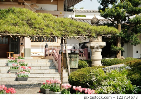 Eijuin Temple in full bloom in spring Eijuin Temple in full bloom in spring 122714678