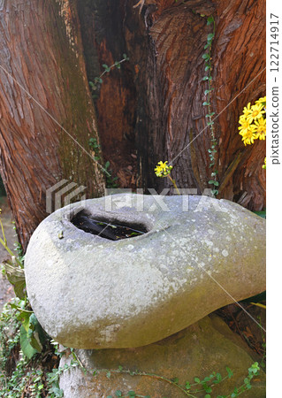 Tenryozan Kukeiji Temple, quietly nestled in the mountains, Tsukubai, Shibukawa City 122714917
