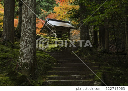 歡迎學院秋葉 122715063