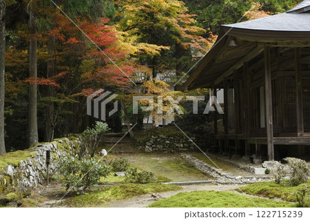 Autumn leaves of Welcoming College Autumn leaves of Welcoming College 122715239