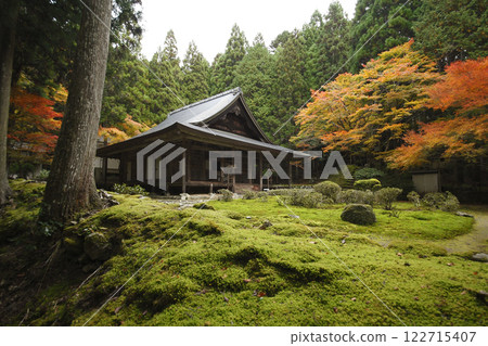 歡迎學院秋葉 歡迎學院秋葉 122715407