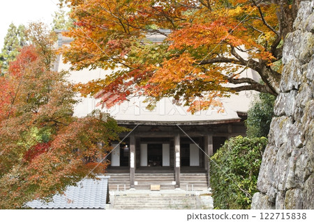 Autumn leaves on the approach to Shorin-in Temple Autumn leaves on the approach to Shorin-in Temple 122715838