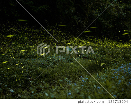 溪邊的螢火蟲 122715994