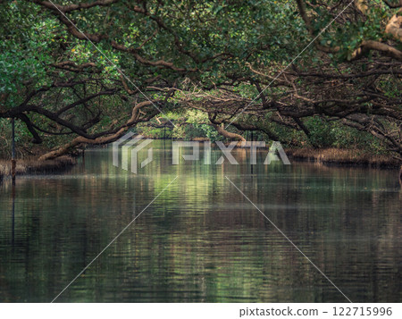 四草綠色隧道 122715996