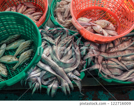 Fish market 122716009