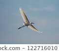 Spread your wings and fly 122716010