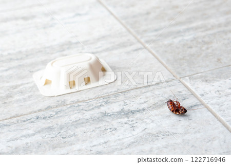 Cockroach struggling by pest trap on bathroom floor 122716946