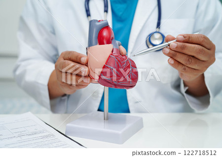 Cardiovascular disease CVD, doctor with heart human model anatomy for treatment patient in hospital. 122718512
