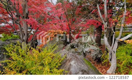 信州中野西鄉寺庭院的秋天 信州中野西鄉寺庭院的秋天 122718587