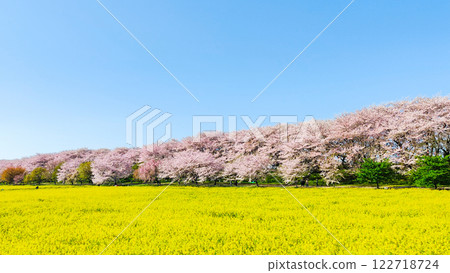 Gyodo神社 122718724