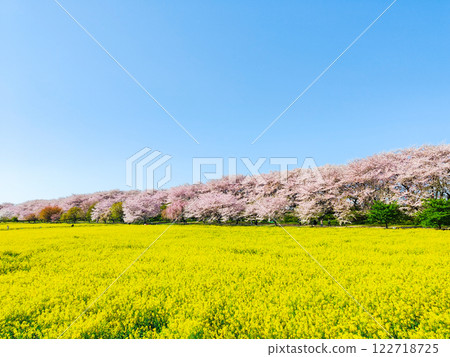 Gyodo Shrine Gyodo Shrine 122718725