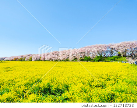 Gyodo Shrine Gyodo Shrine 122718728