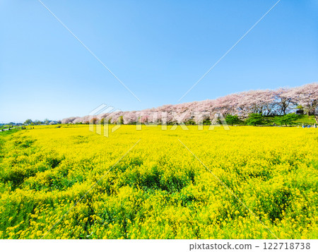 Gyodo神社 122718738