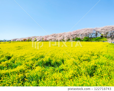 Gyodo神社 122718743