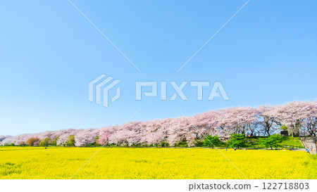 Gyodo神社 Gyodo神社 122718803