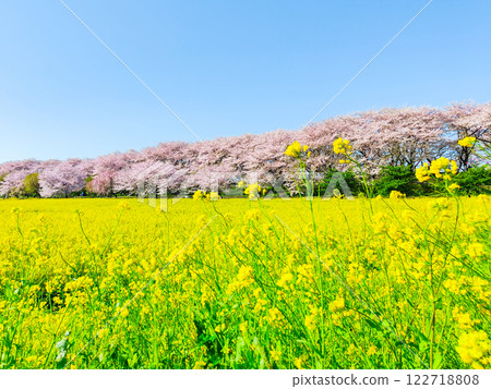 Gyodo神社 Gyodo神社 122718808