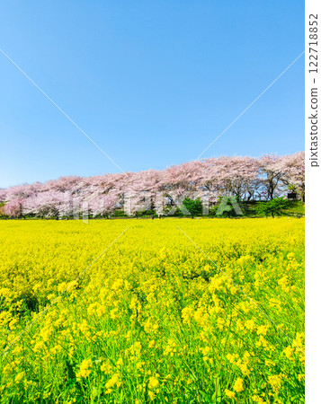 Gyodo神社 122718852