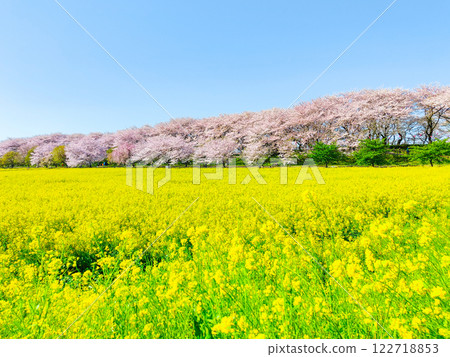 Gyodo Shrine Gyodo Shrine 122718853