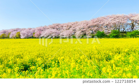 Gyodo Shrine Gyodo Shrine 122718854