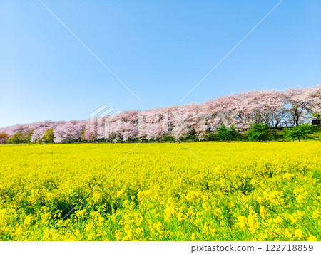 Gyodo Shrine 122718859