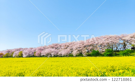 Gyodo神社 Gyodo神社 122718861