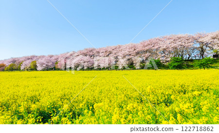 Gyodo神社 122718862