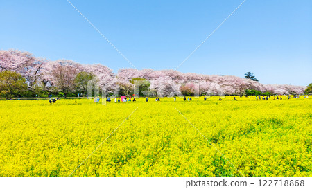 Gyodo Shrine 122718868