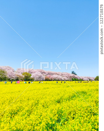 Gyodo Shrine Gyodo Shrine 122718876