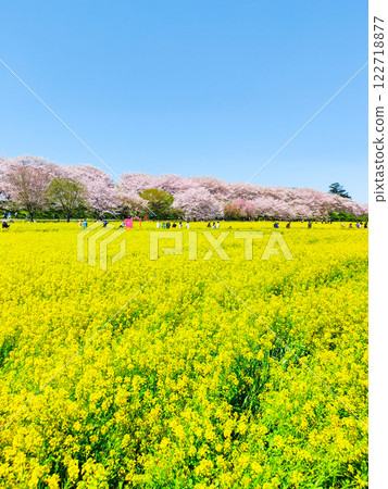 Gyodo神社 122718877