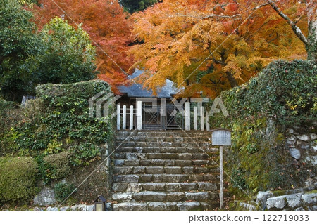 Autumn leaves of Hokke-do Autumn leaves of Hokke-do 122719033